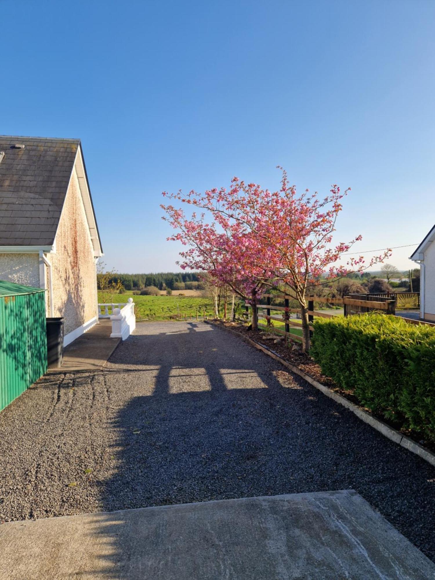 Forest View Dunmore Galway H54P897 Bed & Breakfast Eksteriør bilde