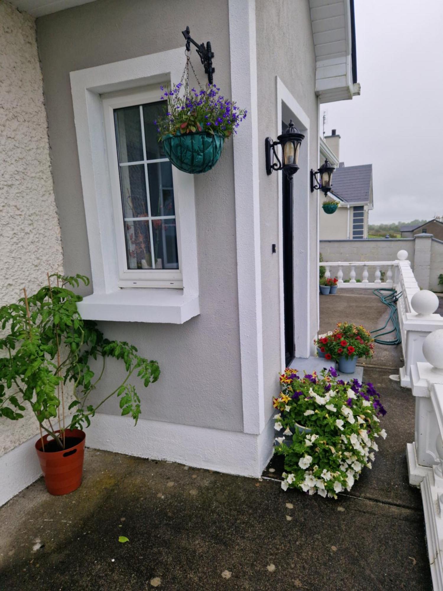 Forest View Dunmore Galway H54P897 Bed & Breakfast Eksteriør bilde